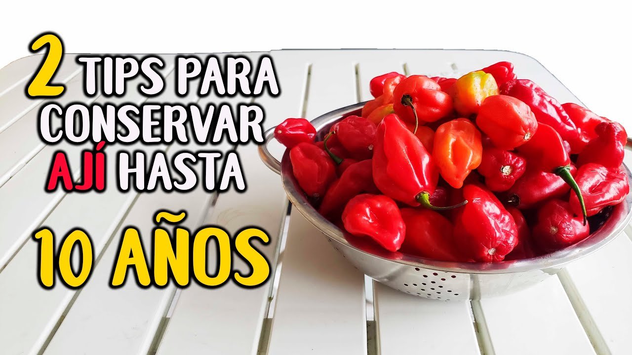 Cómo Conservar Pasta de Ají Hecha en Casa: Guía Completa | Tips &amp; Trucos