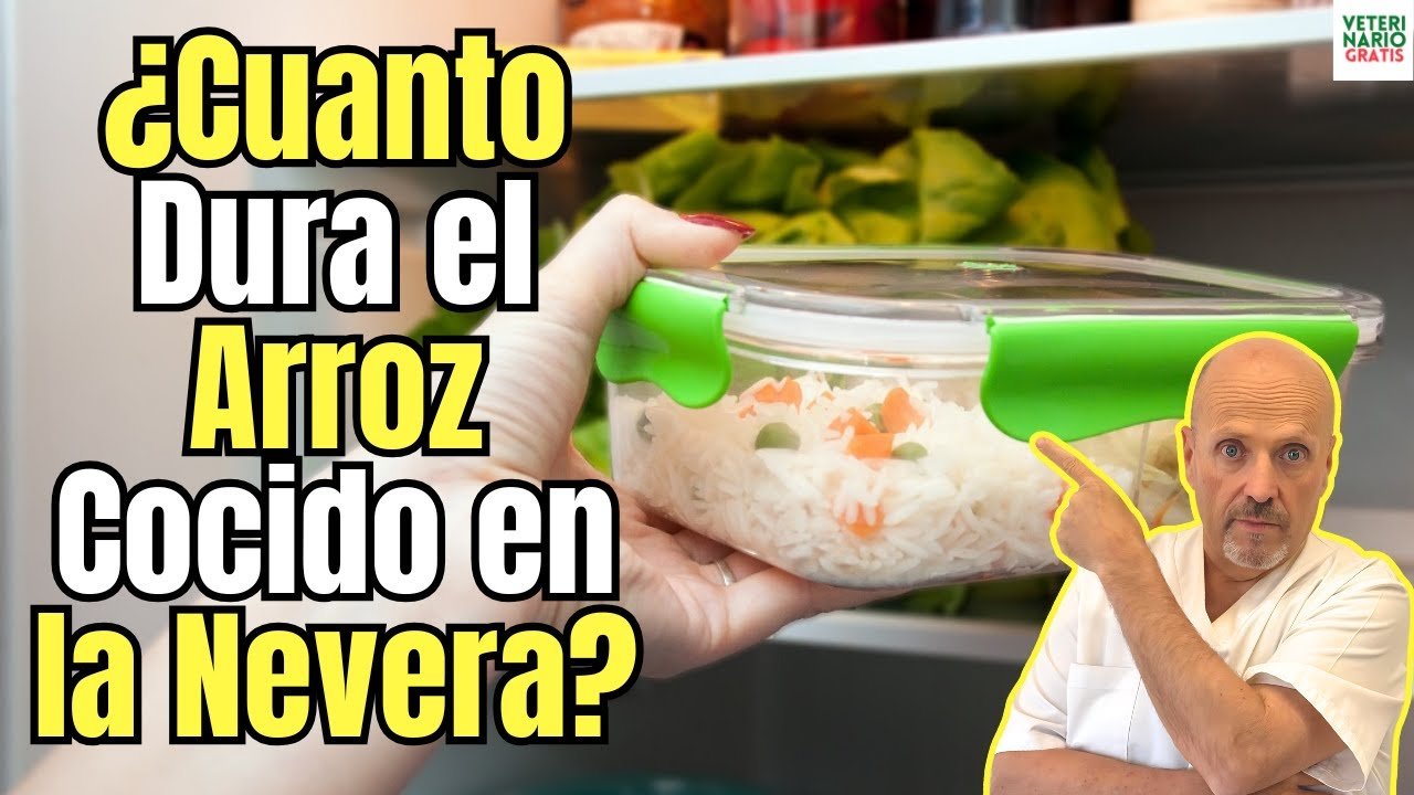 Guía Definitiva: Cómo Guardar Arroz Tapado en la Refrigeradora para Mantenerlo Fresco