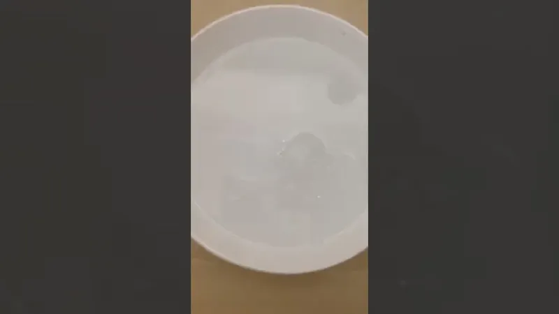 Guía Definitiva: Cómo Guardar Bechamel en la Refrigeradora Sin que se Malogre