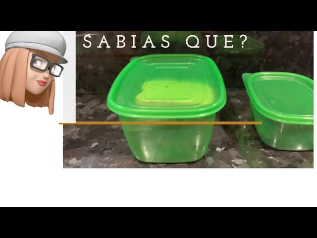 Guía Completa: Cómo Guardar Brownies en la Refrigeradora sin que se Malogren