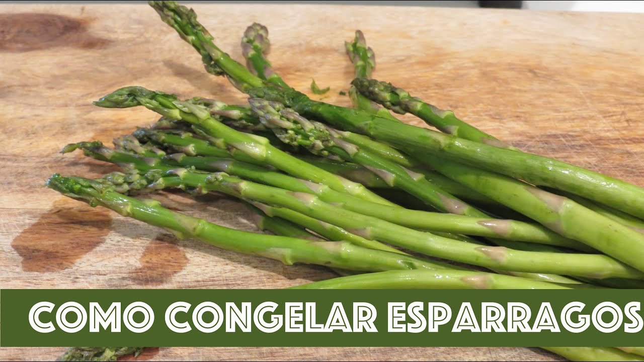 Guía Definitiva para Conservar Crema de Espárragos en la Refrigeradora Sin Que Se Malogre