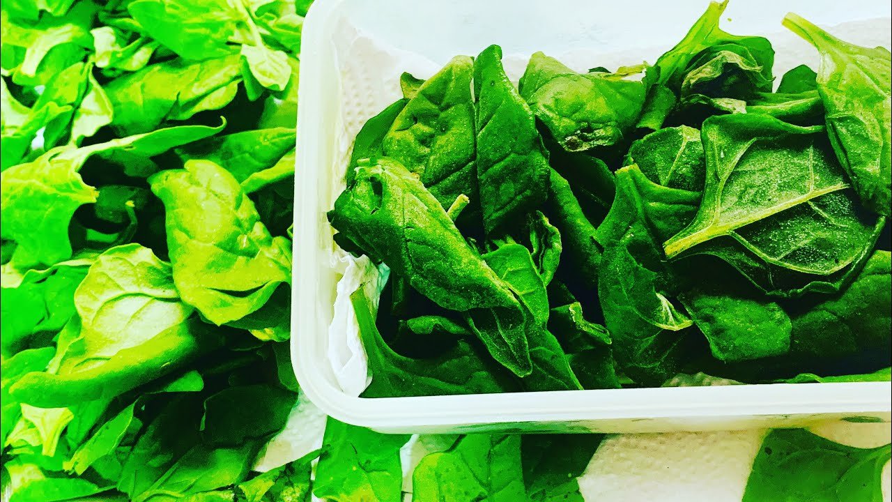 Guía Infalible: Cómo Guardar Espinaca en la Refrigeradora para Mantenerla Fresca por Más Tiempo