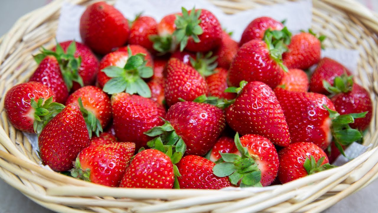 Cómo Guardar Fresas en la Refrigeradora para Mantenerlas Frescas por Más Tiempo