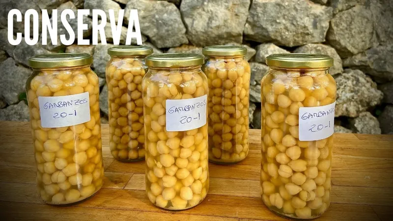 Guía Definitiva: Cómo Guardar Garbanzos Cocidos en la Refrigeradora Sin que Se Malogren