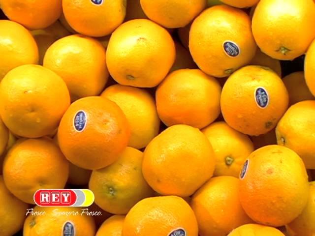 Guía Definitiva: Cómo Guardar Naranja en la Refrigeradora para Mantenerla Fresca