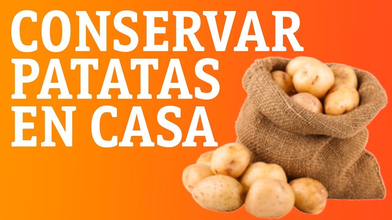Cómo Guardar Papa Cocida en la Refrigeradora para que Dure Más | Guía Completa