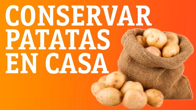 Cómo Guardar Papa Cocida en la Refrigeradora para que Dure Más | Guía Completa