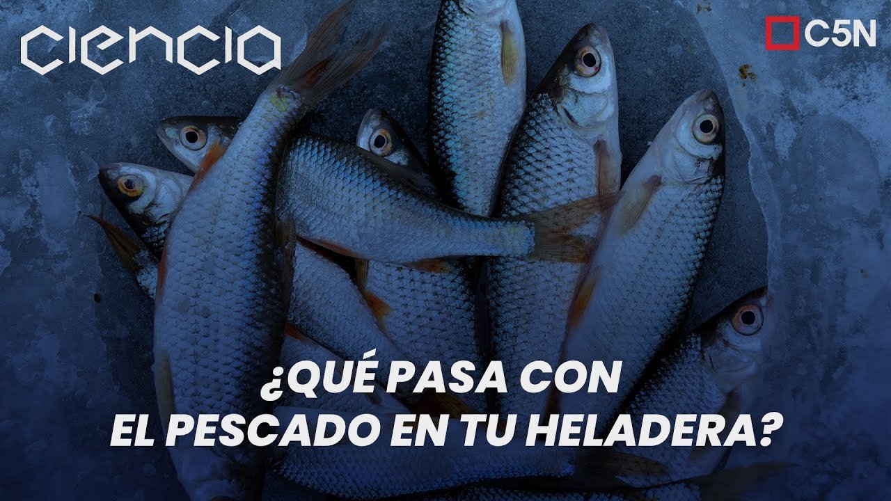 Cómo Guardar Sudado de Pescado en la Refrigeradora: 7 Tips para Conservarlo Fresco
