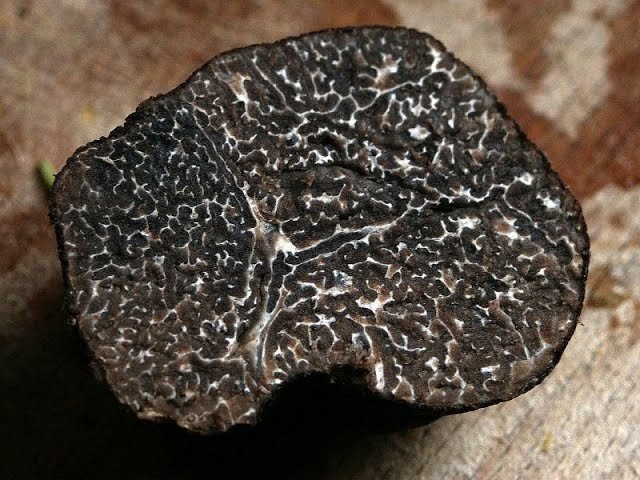 Guía Definitiva: Cómo Guardar Trufas en la Refrigeradora Sin Que Se Dañen