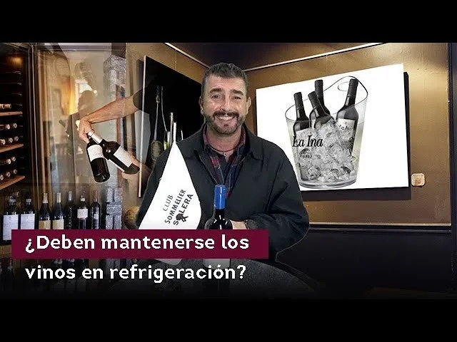 Cómo Guardar Vino en la Refrigeradora: Guía Para Conservarlo Perfecto