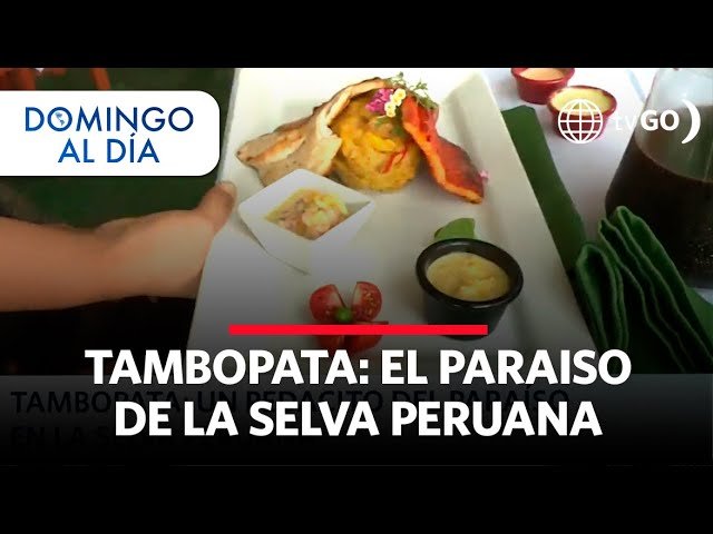 Top 10 Platos de la Gastronomía Local de Puerto Maldonado que Debes Probar