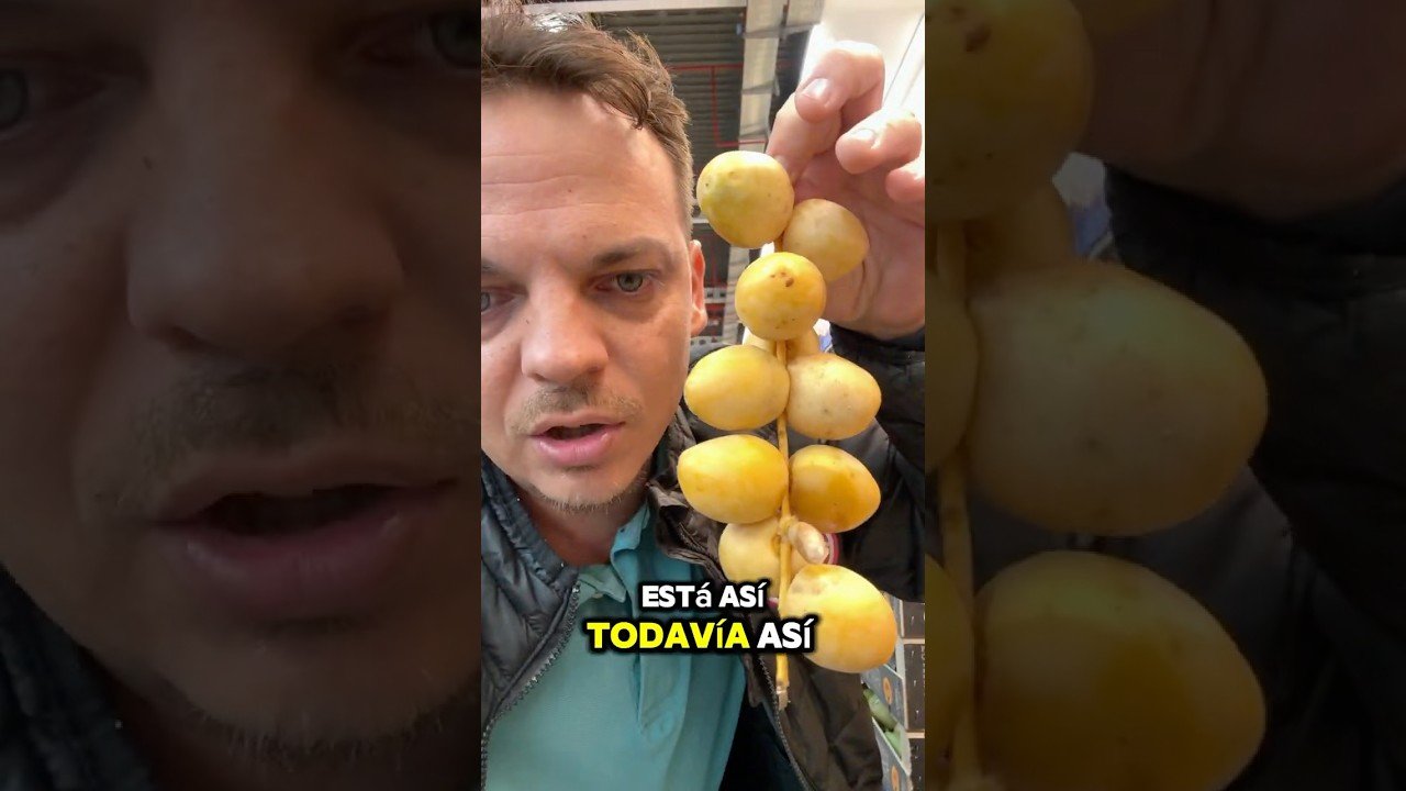 Probando Salsa de Tomate Cruda con Dátiles: Una Sorprendente Combinación