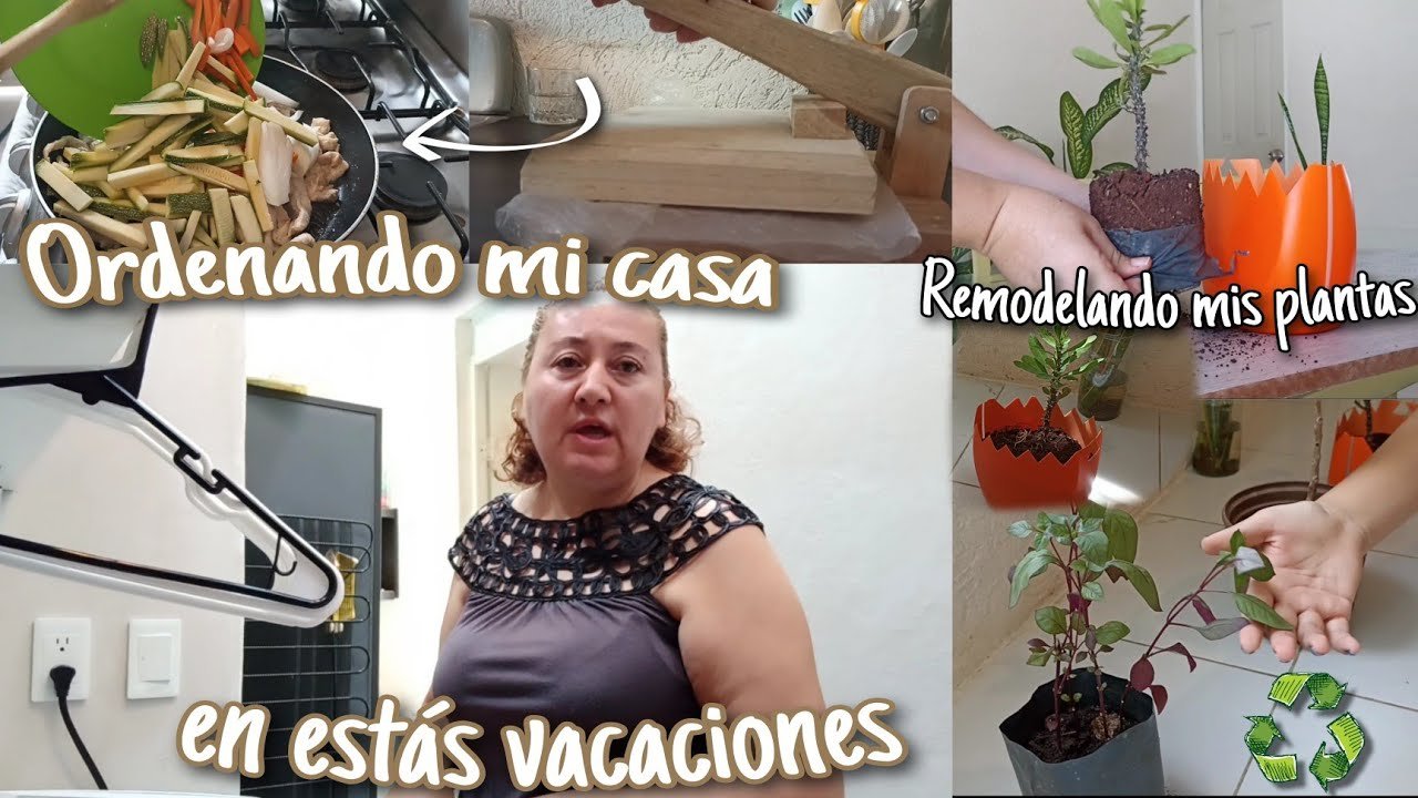 Receta Exclusiva: Pollo Gaseado al Estilo Claudia Navarro de Lima | Delicias Peruanas