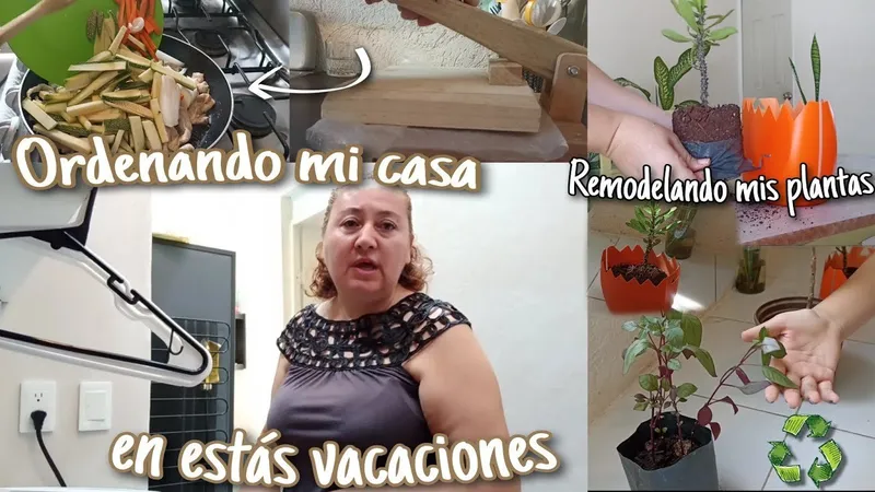 Receta Exclusiva: Pollo Gaseado al Estilo Claudia Navarro de Lima | Delicias Peruanas