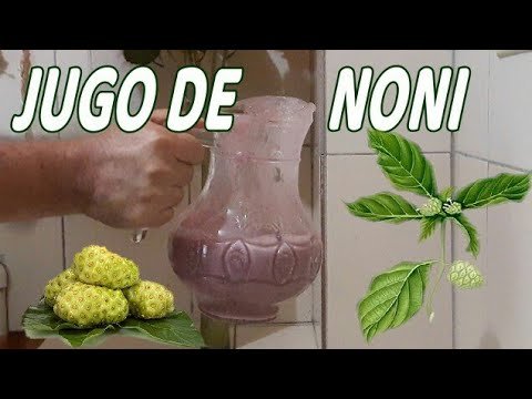 Cómo Hacer Zumo de Noni: Receta Fácil y Saludable