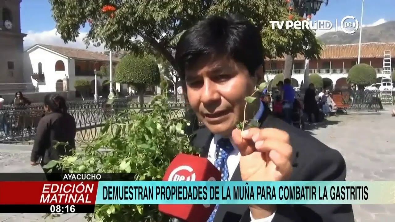 Cómo Preparar Mate de Muna: Auténtica Receta Peruana Paso a Paso