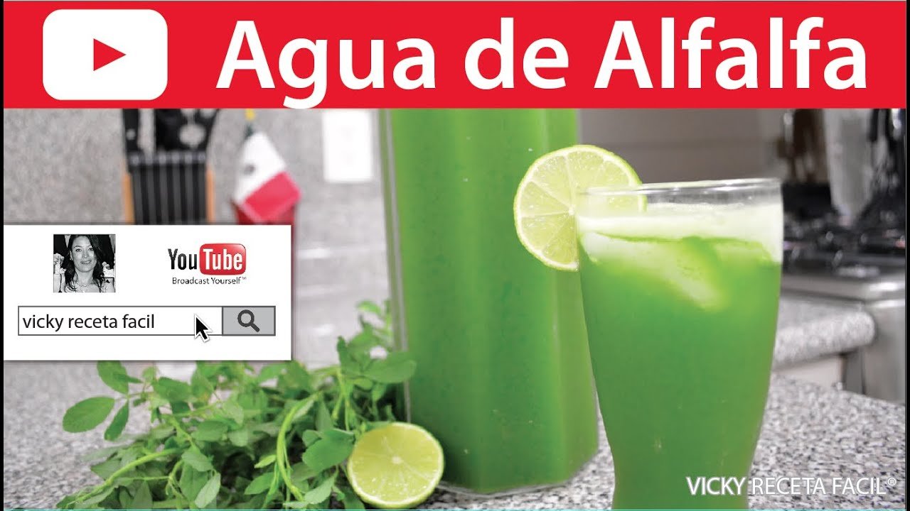 Cómo Preparar Refresco de Alfalfa: Receta Peruana Tradicional | Guía Fácil y Rápida