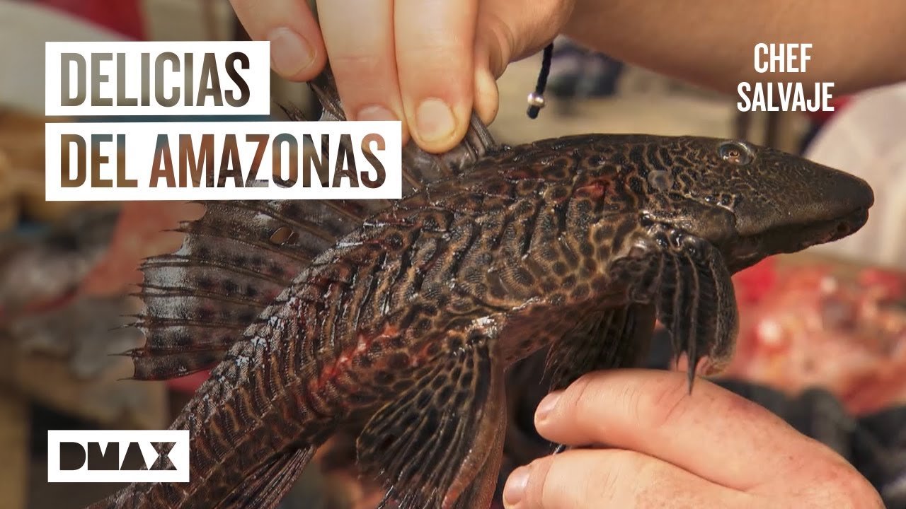 Los 10 Mejores Restaurantes de Comida Fusión Selvática en Iquitos [2023]