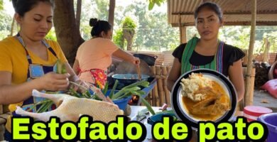 Receta de Estofado de pato