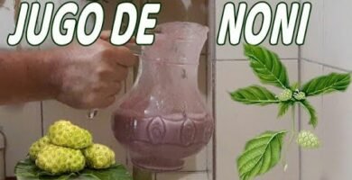 Receta de Zumo de noni