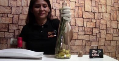 Receta peruana de Macerado de Hierba Luisa