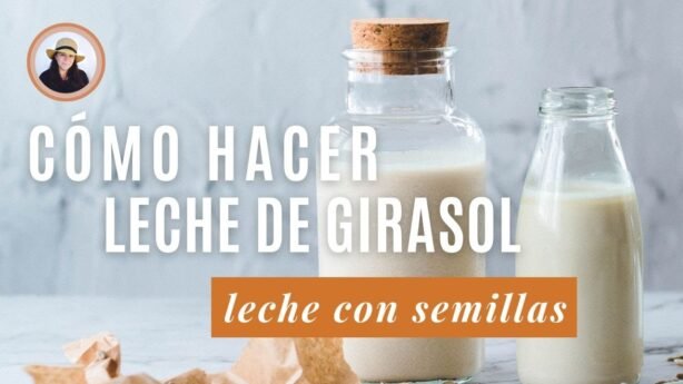 Overnight oats con semillas de girasol: opción fácil y nutritiva