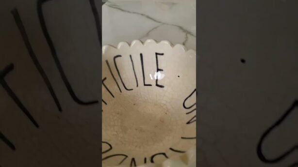 Cómo preparar crema de ajos con semillas de girasol