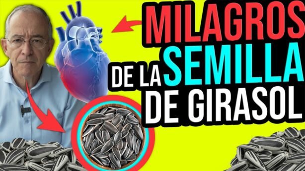 Tzatziki saludable con semillas de girasol para cualquier momento del día