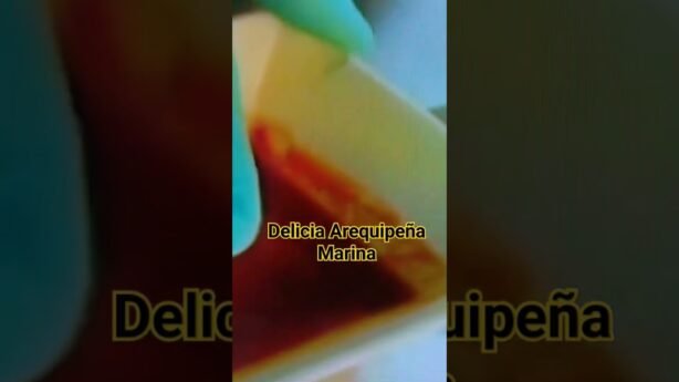 El rol del arroz en la cocina arequipeña con receta regional